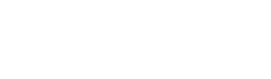 Lexar partners